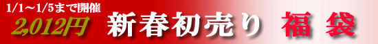 2012�~�V�t����