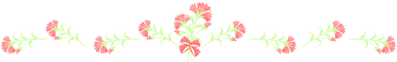 ̓̃J[l[V