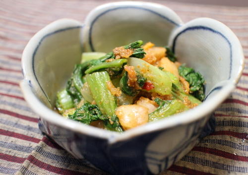 今日のキムチ料理レシピ：青梗菜のキムチ胡麻和え
