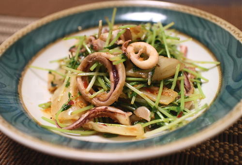 今日のキムチ料理レシピ：いかと豆苗のキムチ炒め