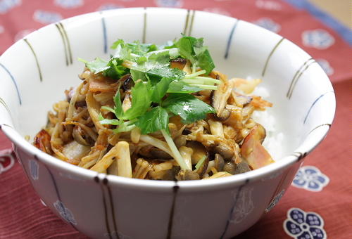 今日のキムチ料理レシピ：きのこキムチ丼