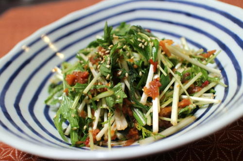 今日のキムチ料理レシピ：水菜の梅キムチ和え