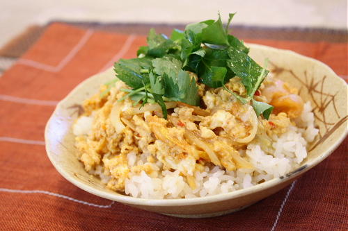 今日のキムチ料理レシピ：ちっちゃな親のキムチ親子丼