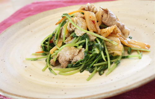 今日のキムチ料理レシピ：豆苗と豚肉のキムチ炒め