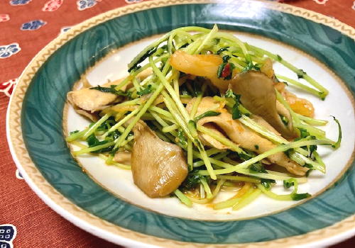 今日のキムチ料理レシピ：豆苗とまいたけのキムチオイスター炒め