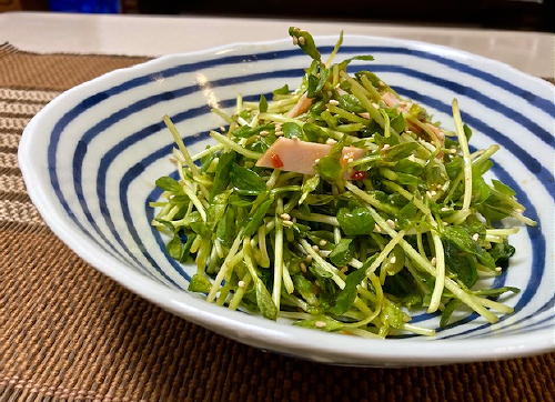 今日のキムチ料理レシピ：豆苗とハムのピリ辛和え