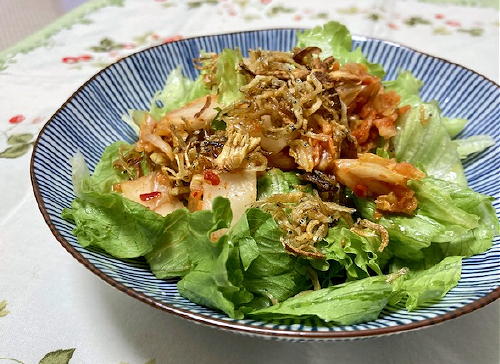 今日のキムチ料理レシピ：じゃことキムチのレタスサラダ