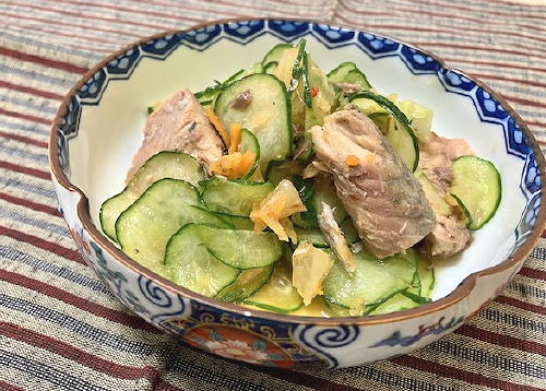 今日のキムチ料理レシピ：サバと胡瓜のキムチ甘酢和え