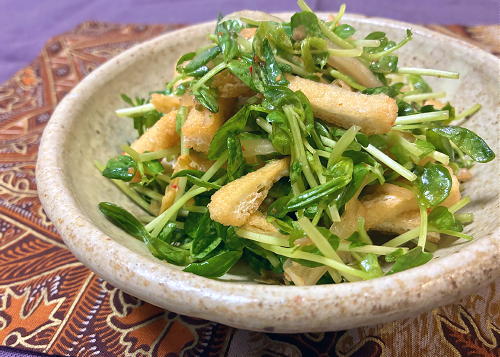 今日のキムチ料理レシピ：豆苗と油揚げのキムチ和え