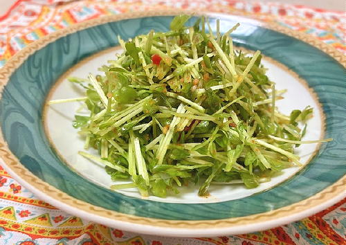 今日のキムチ料理レシピ：豆苗のキムチ和え