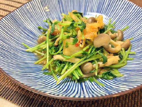 今日のキムチ料理レシピ：豆苗としめじとキムチのさっと煮